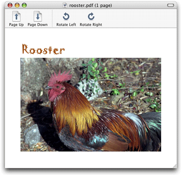 rooster_up