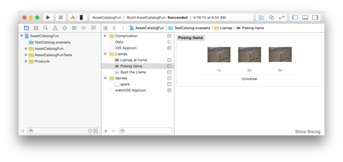 ACR_Xcode_Asset_Catalog_2x